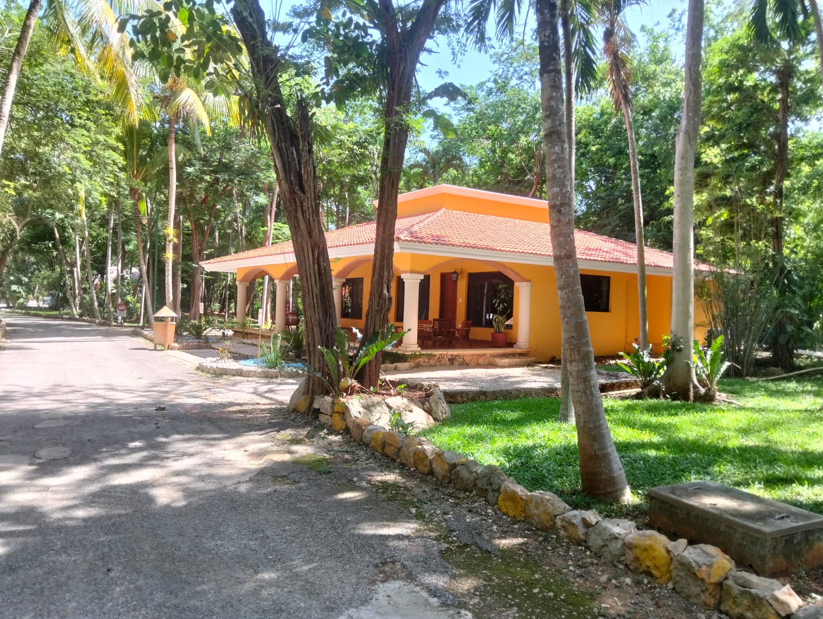 Hacienda entre palmeras en Mérida, Yucatán — destino de experiencias transformadoras